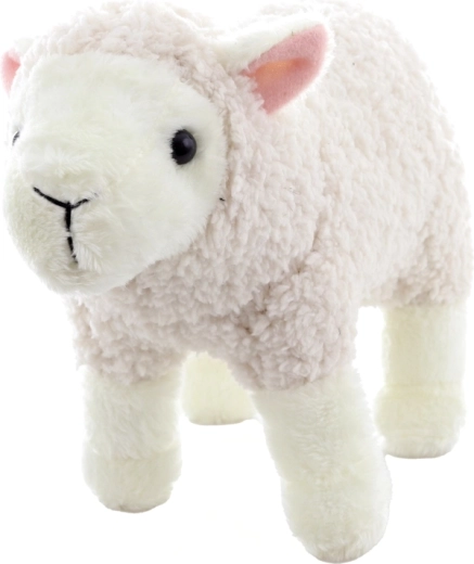 Lekka i poręczna w domu i w podróży