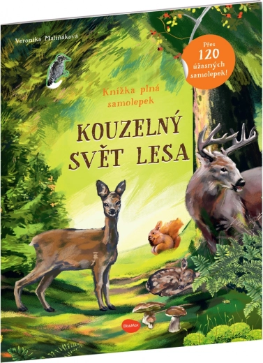 Magiczny świat lasu – książka z naklejkami