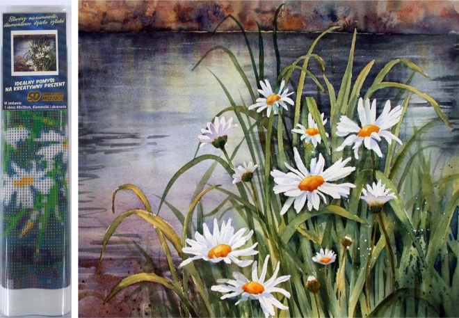 Malowanie diamentowe stokrotki nad wodą 30 × 40 cm