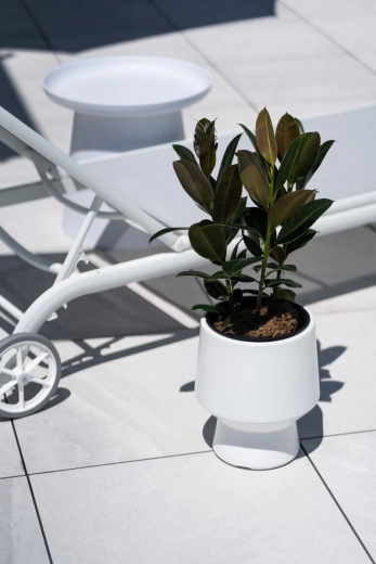 Inteligentny wkład dla zdrowych korzeni