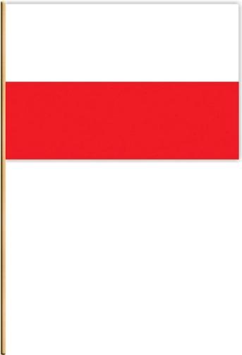 Zestaw polskich chorągiewek – 20 szt.