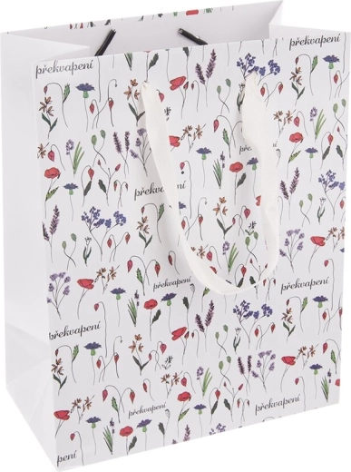 Papierowa torba prezentowa Niespodzianka (CZ) 18 × 10 × 23 cm