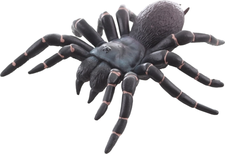 Idealna do nauki i dekoracji