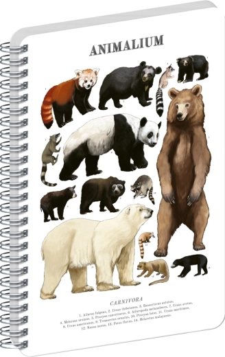 Notique notes spiralny Animalium – drapieżniki z rodziny niedźwiedziowatych, czysty, A4