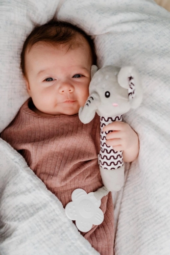 Delikatny pisk dla rozwoju zmysłów