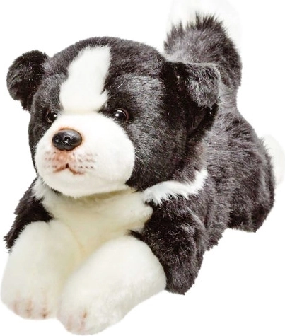 Pluszowy pies border collie 30 cm
