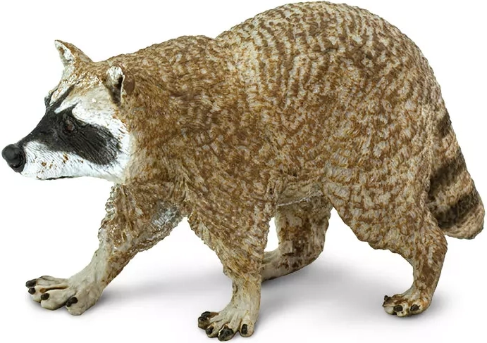 Figurka szopa pracza Safari Ltd.