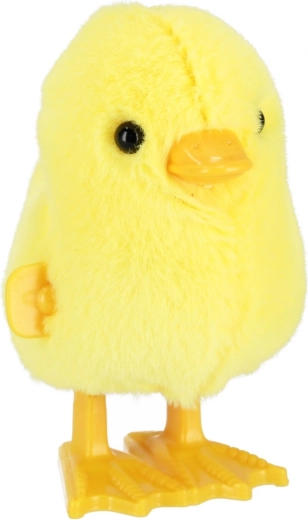 Chodzi po nakręceniu