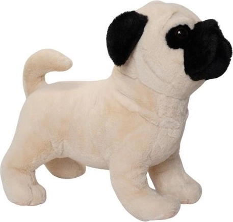 Duży pluszowy buldog