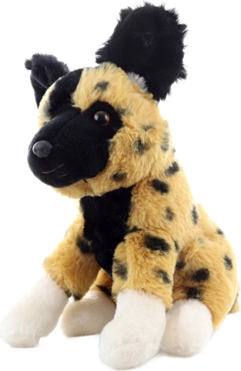 Kompaktowe wymiary do domu i w podróż