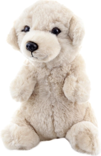 Bezpieczne od urodzenia