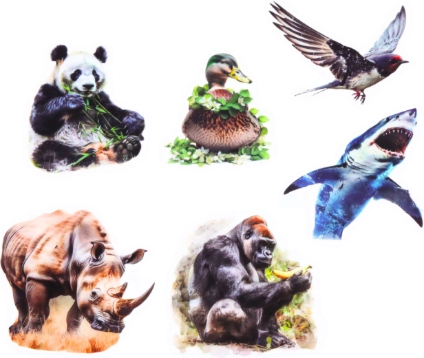 Przezroczyste tło dla czystego wyglądu