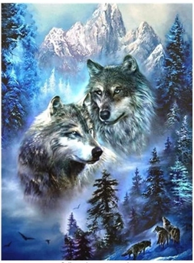 Diamentowe malowanie – dwa wilki w górach 30 × 40 cm