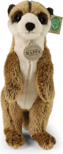 Bezpieczna i przytulna od pierwszego dnia