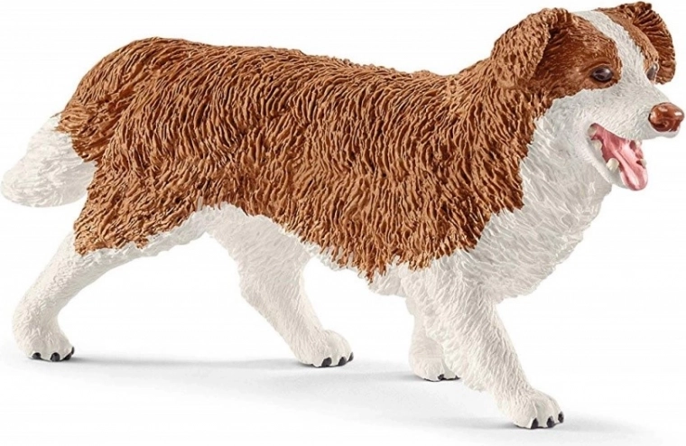 Pielęgnacja pupili z suczką Ruby