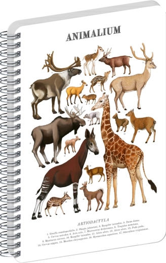 Notique notes spiralny Animalium – parzystokopytne, czysty, A4