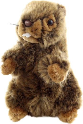 Eco-friendly wykonanie