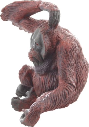 Stabilna pozycja do ekspozycji i zabawy