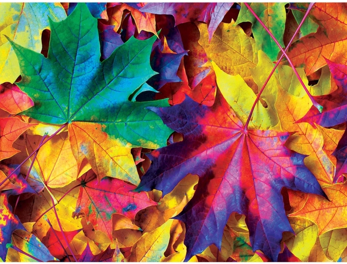 Puzzle Masterpieces Kolorowa jesień 550 elementów