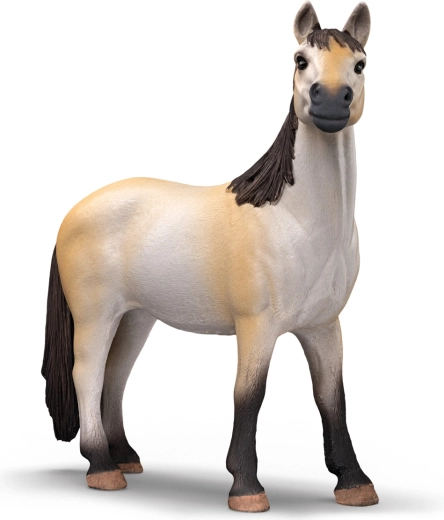 Piękna klacz mustanga