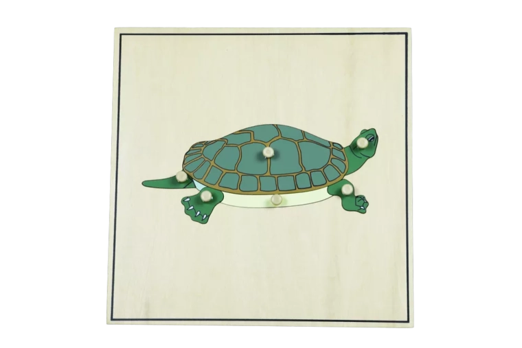 Puzzle z kośćcem – żółw