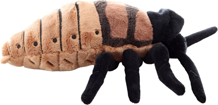 Realistyczny design z dopracowanymi detalami