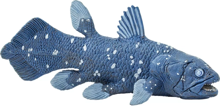 Safari Ltd. latimeria dziwna figurka - 1 sztuka