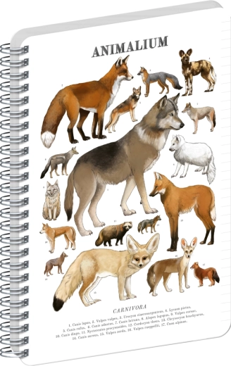 Notique notes spiralny Animalium – Psowate drapieżniki, w linie, A5