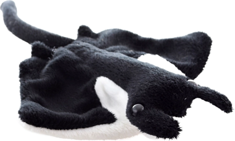 Realistyczny kształt manty