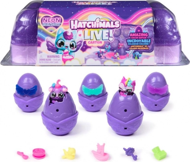 Hatchimals karton Neonowa tęcza – neonowa wylęgarnia z 5 jajkami i figurkami