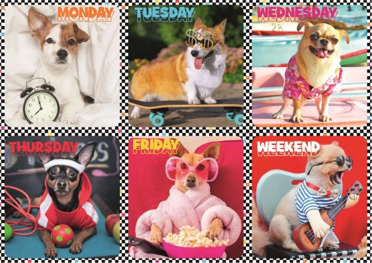 Puzzle 200 elementów – wesołe psy – Trefl