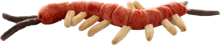 Idealny rozmiar w domu i w podróży