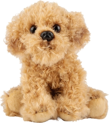 Pluszowy pies Labradoodle