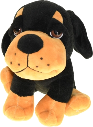 Wiele wariantów kolorystycznych