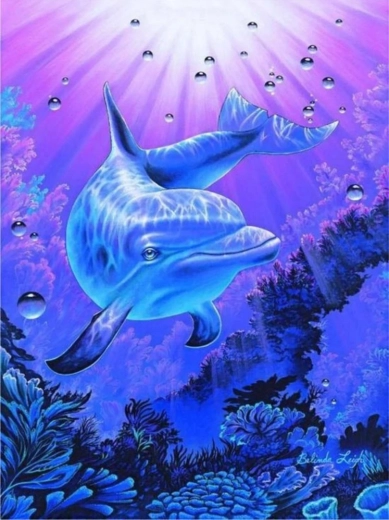 Norimpex malowanie po numerach Delfin 40 × 50 cm