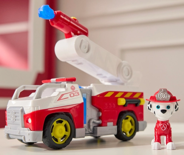 Wysuwana i obrotowa drabina