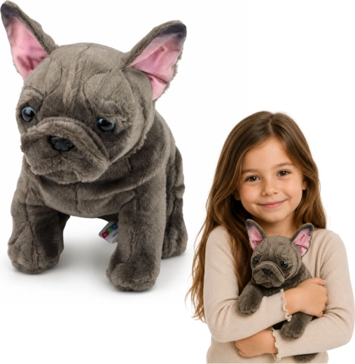 Pluszowy buldog francuski 22 cm