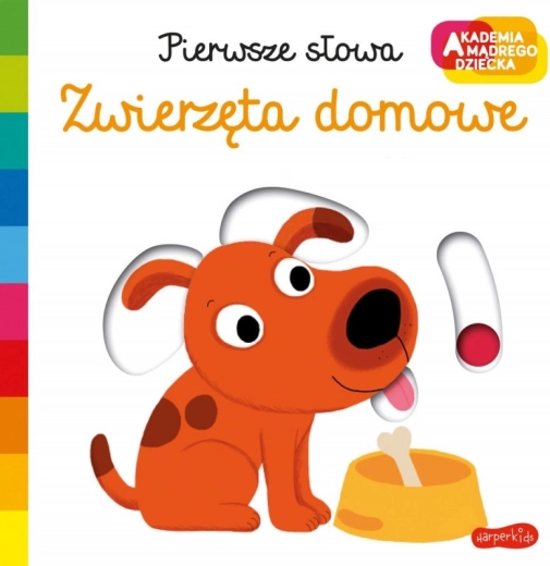 Broszura Zwierzęta domowe. Akademia mądrego dziecka. Pierwsze słowa