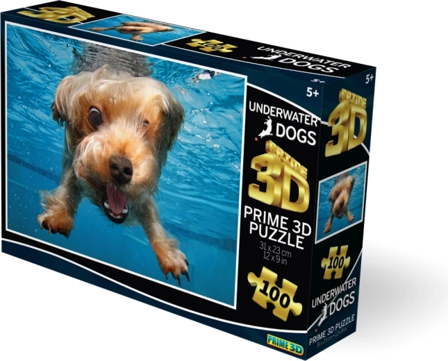 Realistyczny efekt 3D, który ożywia obraz