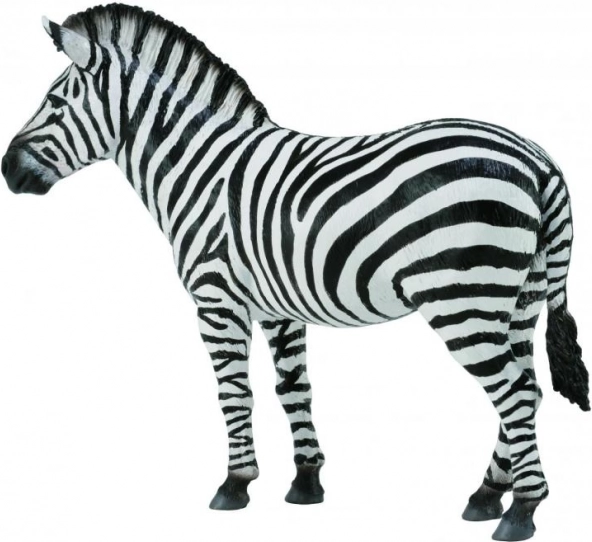 CollectA figurka zebry stepowej – realistyczny model zwierzęcia