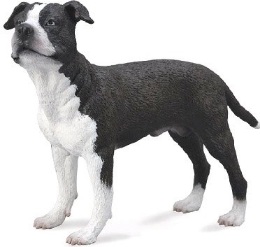 Amerykański Staffordshire Terrier figurka Collecta