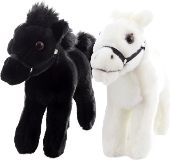 Dwie eleganckie barwy