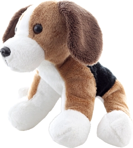 Urocze detale beagle’a