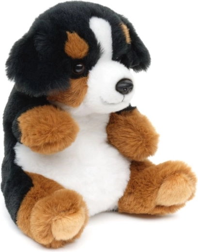 Bezpieczne od urodzenia