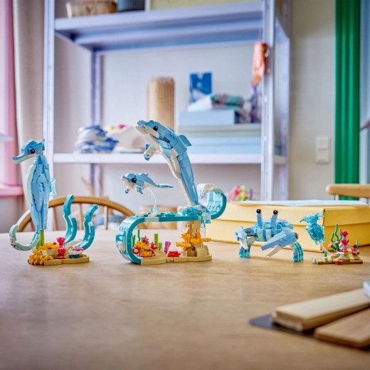 Trzy modele z jednego zestawu