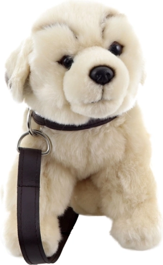 Zabawa w wyprowadzanie dzięki obroży i smyczy