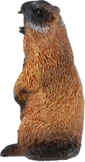 Kompaktowy rozmiar