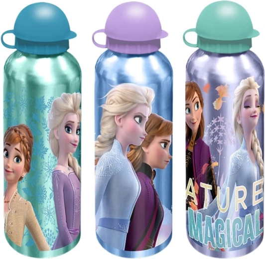Lubiany design Disney Frozen