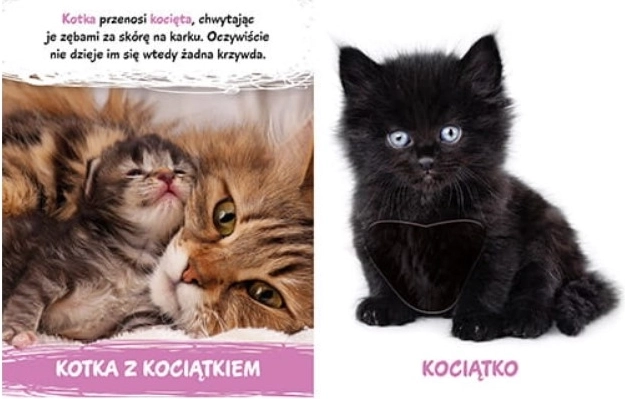 Milusińscy w domu – sensoryczna kartonowa książeczka ze zwierzątkami