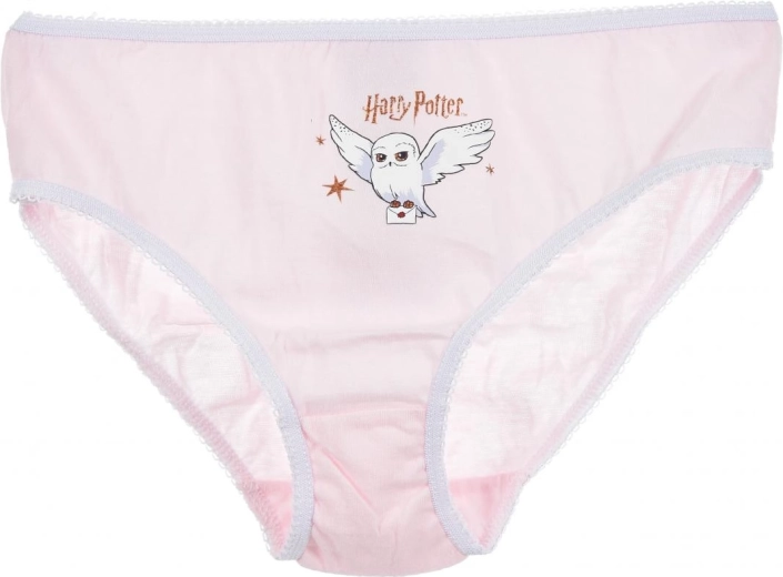 Licencjonowany motyw Harry Potter
